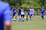 IMG_0253 (cam 0)