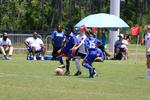 IMG_0309 (cam 0)