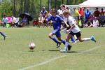 IMG_0329 (cam 0)