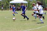 IMG_0331 (cam 0)