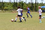 IMG_0333 (cam 0)