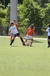 IMG_0010 (cam 0)