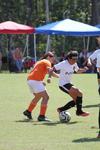 IMG_0040 (cam 0)