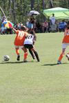 IMG_0137 (cam 0)