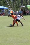 IMG_0140 (cam 0)