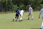 IMG_0048 (cam 0)