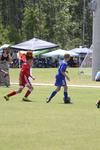 IMG_0113 (cam 0)
