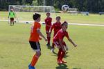IMG_0018 (cam 0)