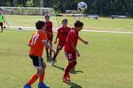 IMG_0019 (cam 0)