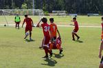 IMG_0031 (cam 0)