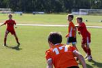 IMG_0038 (cam 0)