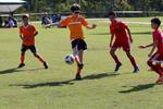 IMG_0050 (cam 0)