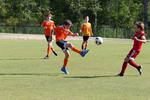 IMG_0061 (cam 0)