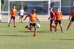 IMG_0086 (cam 0)