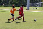 IMG_0091 (cam 0)