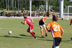 IMG_0103 (cam 0)