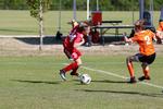 IMG_0110 (cam 0)