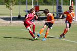 IMG_0114 (cam 0)