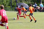 IMG_0191 (cam 0)