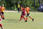 IMG_0193 (cam 0)