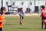 IMG_0199 (cam 0)