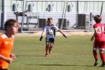 IMG_0200 (cam 0)