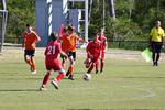 IMG_0209 (cam 0)