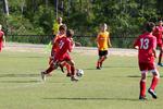 IMG_0210 (cam 0)