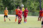 IMG_0220 (cam 0)