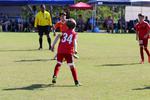 IMG_0243 (cam 0)