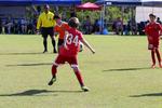 IMG_0244 (cam 0)