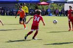 IMG_0245 (cam 0)