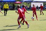IMG_0246 (cam 0)