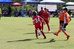 IMG_0247 (cam 0)