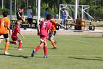 IMG_0252 (cam 0)