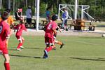 IMG_0253 (cam 0)
