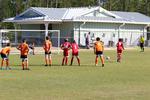 IMG_0264 (cam 0)