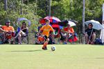 IMG_0275 (cam 0)