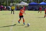 IMG_0281 (cam 0)