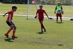 IMG_0286 (cam 0)