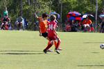 IMG_0301 (cam 0)
