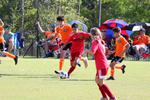IMG_0306 (cam 0)