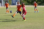 IMG_0343 (cam 0)