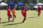 IMG_0353 (cam 0)