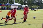 IMG_0356 (cam 0)