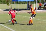 IMG_0377 (cam 0)