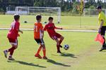 IMG_0401 (cam 0)