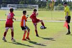 IMG_0402 (cam 0)