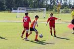 IMG_0403 (cam 0)