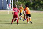 IMG_0412 (cam 0)